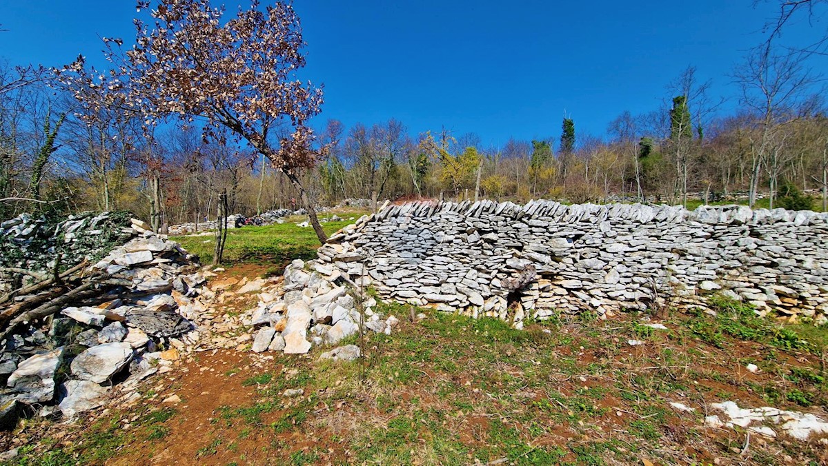 Land For sale - ISTARSKA GROŽNJAN