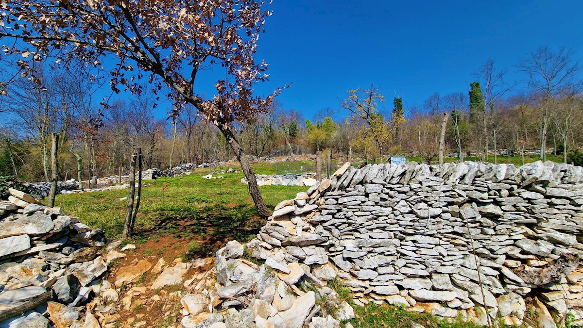 Pozemok Na predaj - ISTARSKA GROŽNJAN