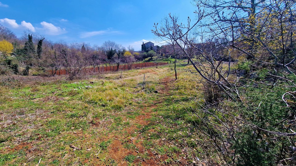 Land For sale - ISTARSKA GROŽNJAN