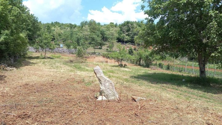 Terreno In vendita - Istarska Grožnjan - foto 2/2