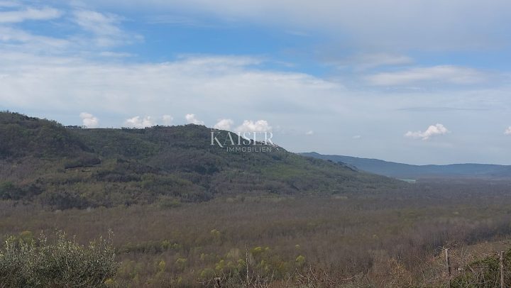 Land For sale - Istarska Motovun - foto 5/21