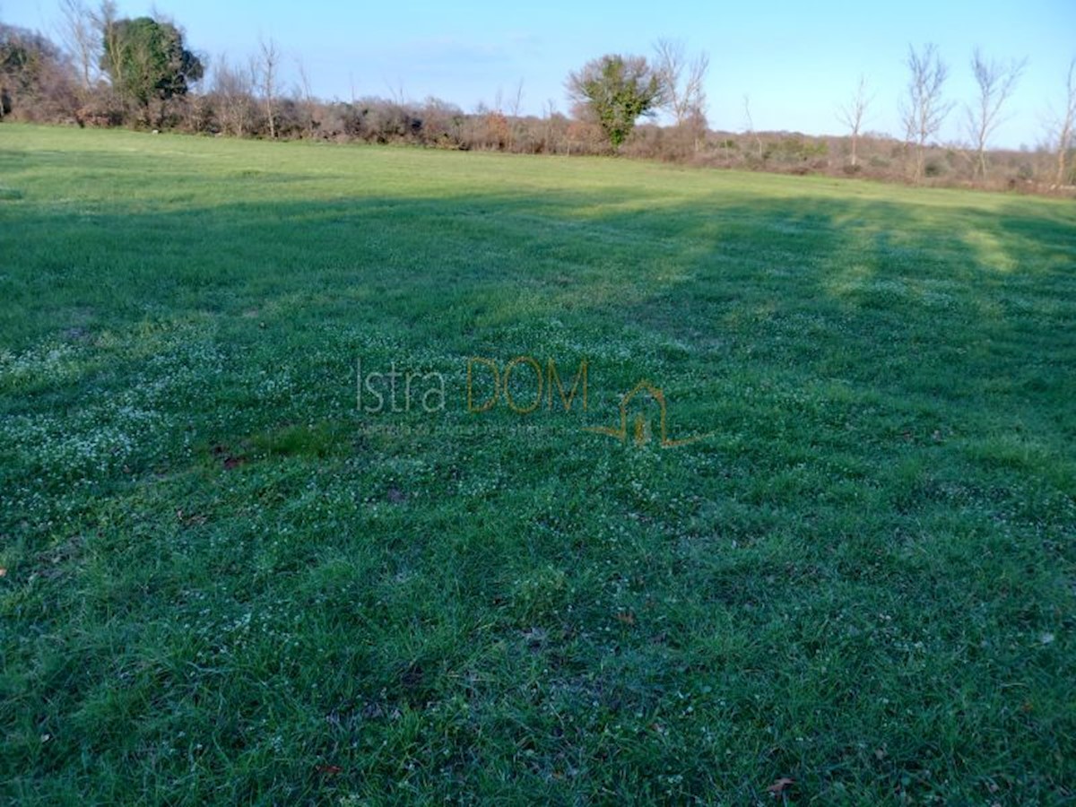 Terreno In vendita - ISTARSKA BARBAN