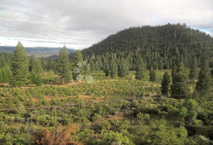 Pozemek na prodej 5904 m² – Lisac