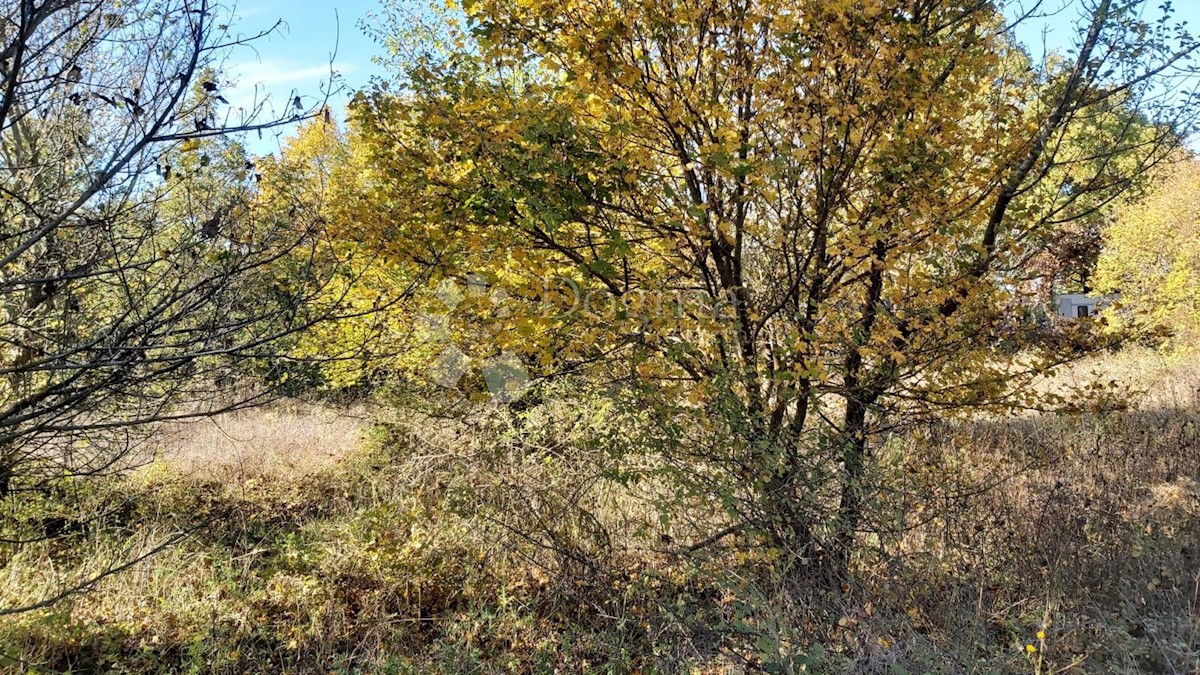 Pozemek Na prodej - ISTARSKA FAŽANA