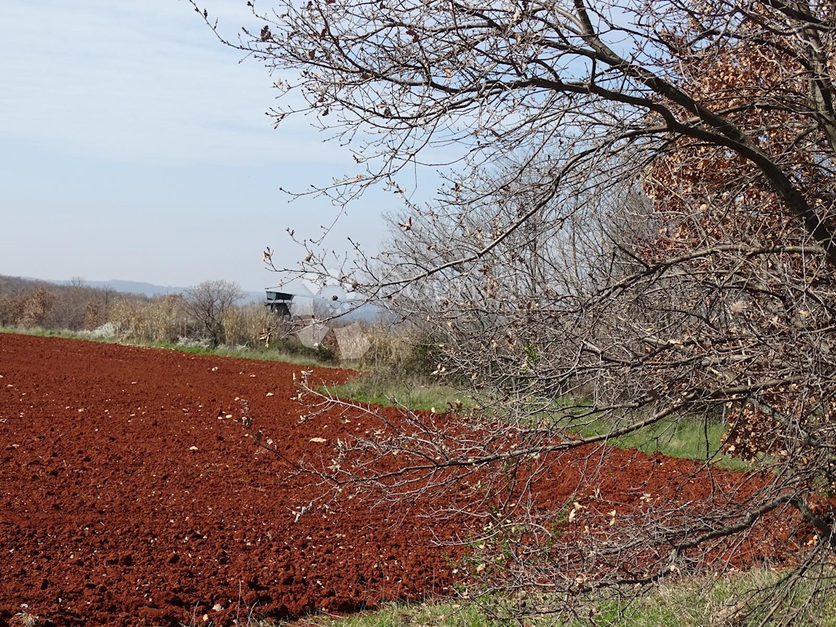 Terrain À vendre - ISTARSKA KAŠTELIR