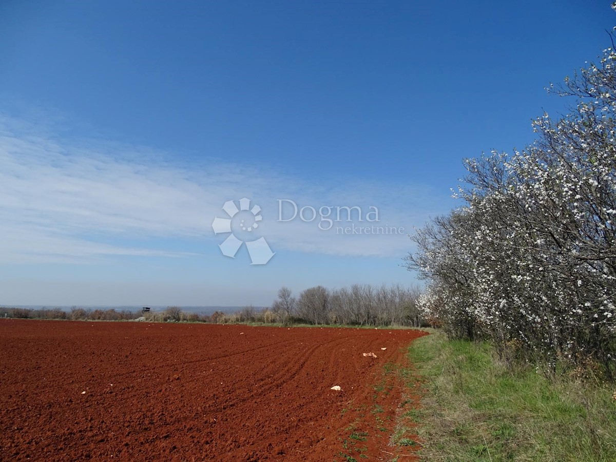 Terrain À vendre - ISTARSKA KAŠTELIR