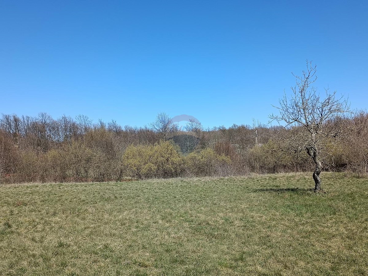 Grundstück Zu verkaufen - Istarska Barban - foto 2/5