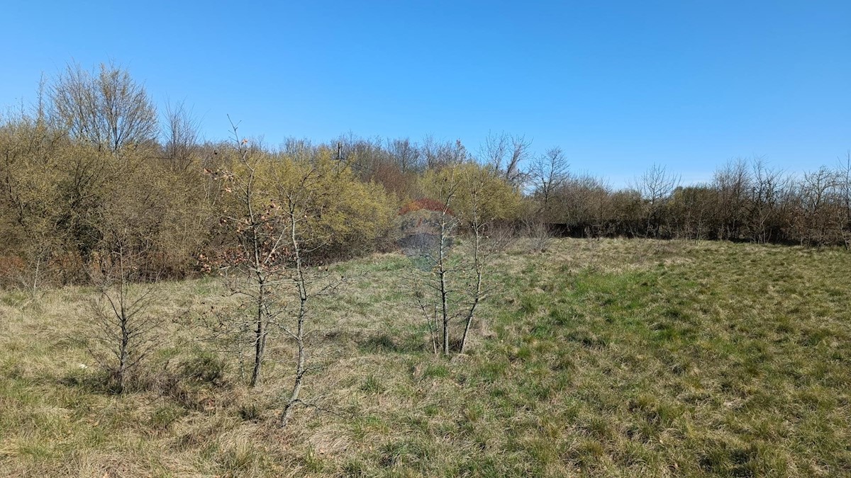 Grundstück Zu verkaufen - Istarska Barban - foto 4/5