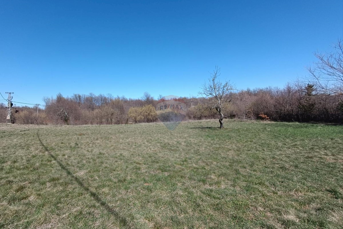 Parcela Naprodaj - ISTARSKA Barban