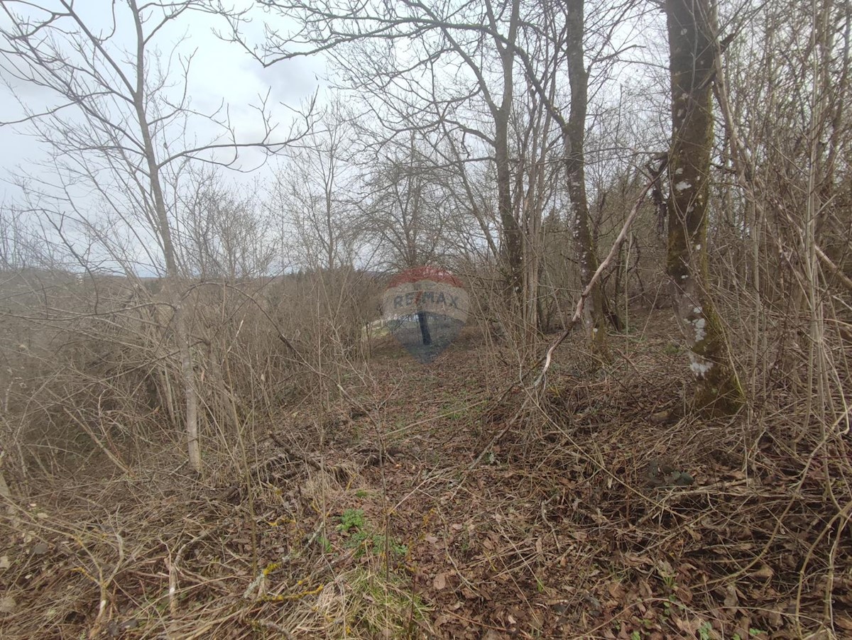 Terrain À vendre - Karlovačka Ogulin - foto 4/5