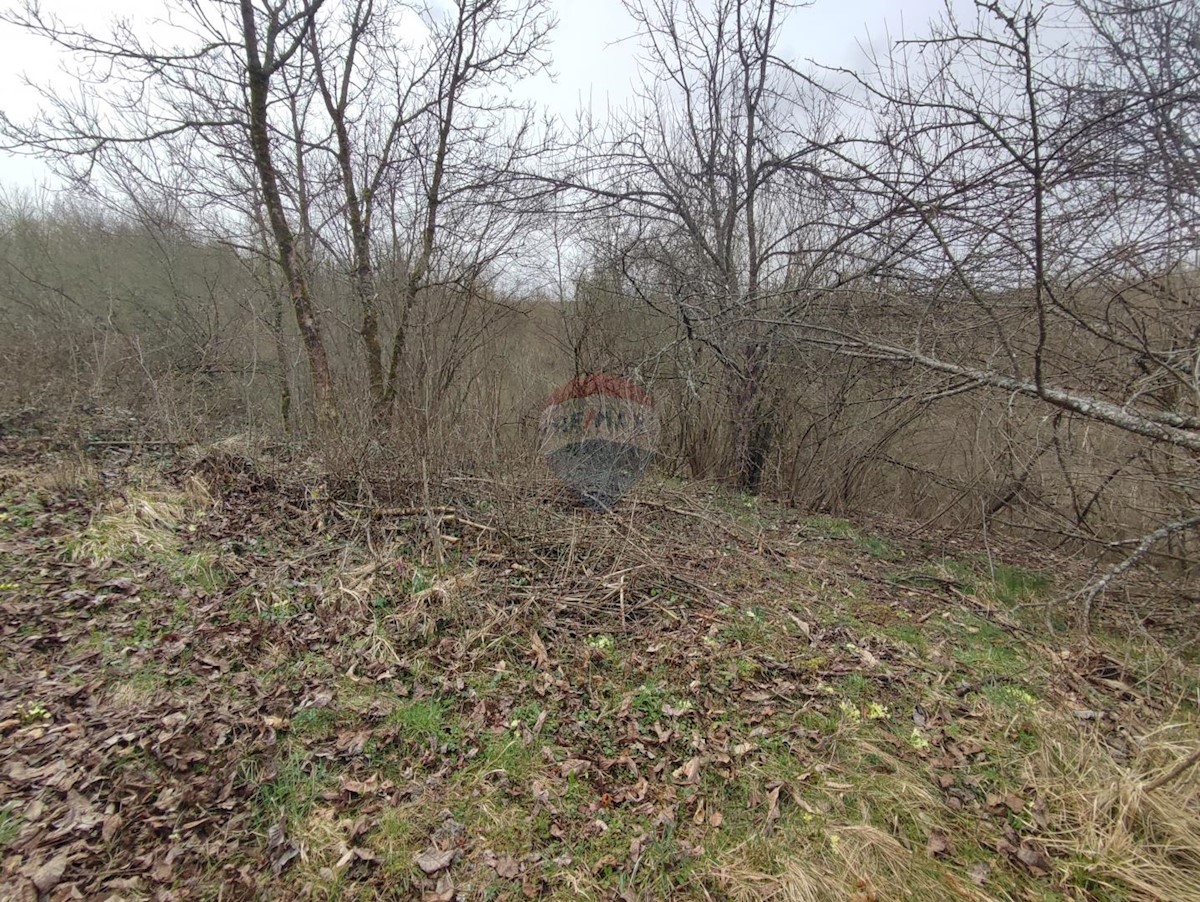 Terrain À vendre - Karlovačka Ogulin - foto 5/5