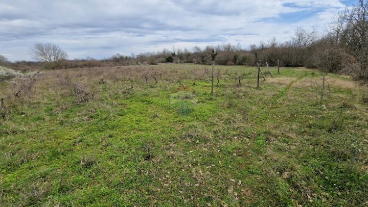 Parcela na predaj 5565 m² – Bokordići