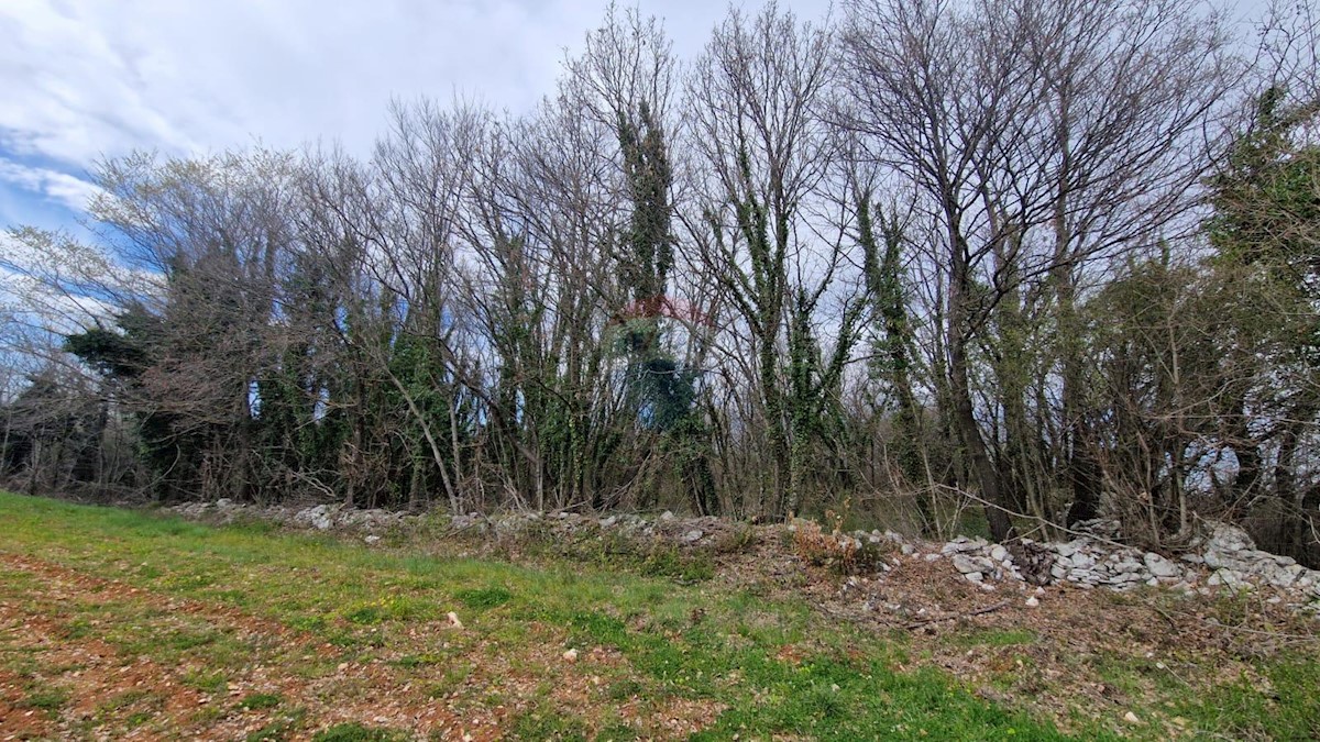 Zemljište Na prodaju - ISTARSKA SVETVINČENAT