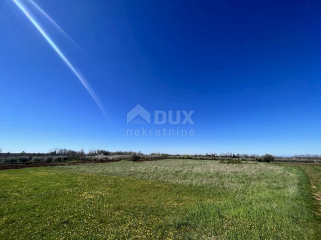 Land For sale - Istarska Kaštelir - foto 2/2
