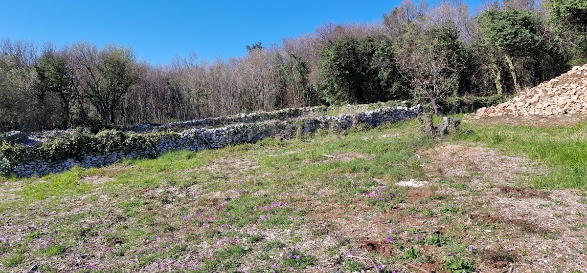 Land For sale - ISTARSKA LABIN