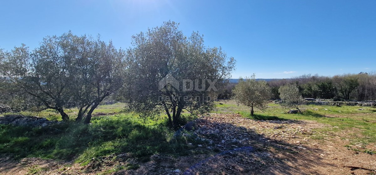 Land For sale - ISTARSKA LABIN