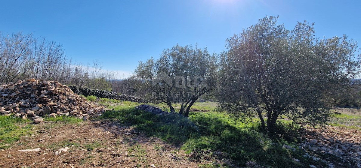 Land For sale - ISTARSKA LABIN