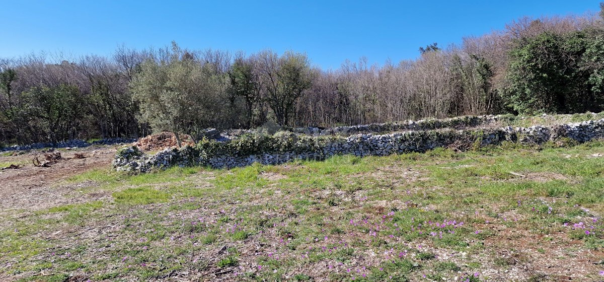 Land For sale - ISTARSKA LABIN