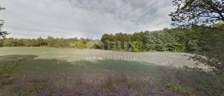 Pozemok na predaj 24999 m² – Labin