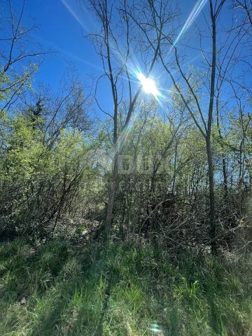 Terreno In vendita - Istarska Kaštelir - foto 2/3