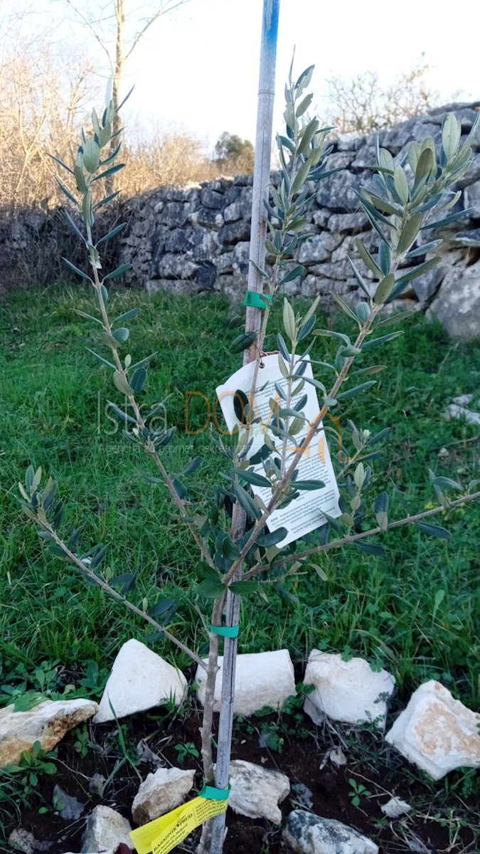 Grundstück Zu verkaufen - ISTARSKA ROVINJ