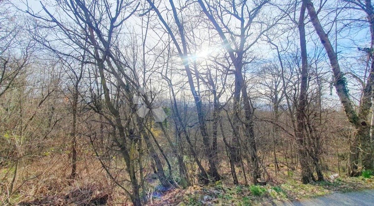 Land For sale - PRIMORSKO-GORANSKA VIŠKOVO