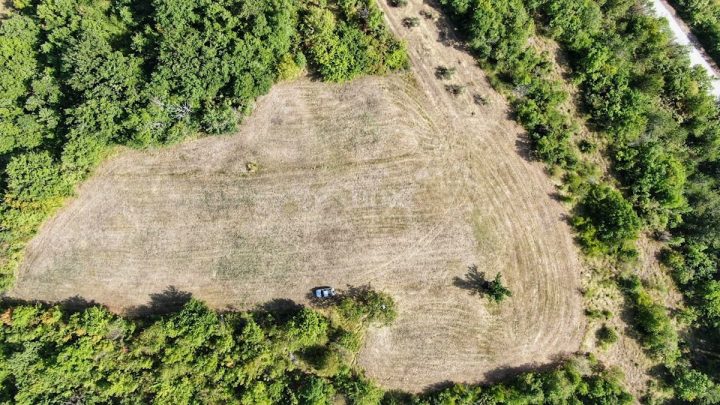 Land For sale - Istarska Cerovlje - foto 5/5