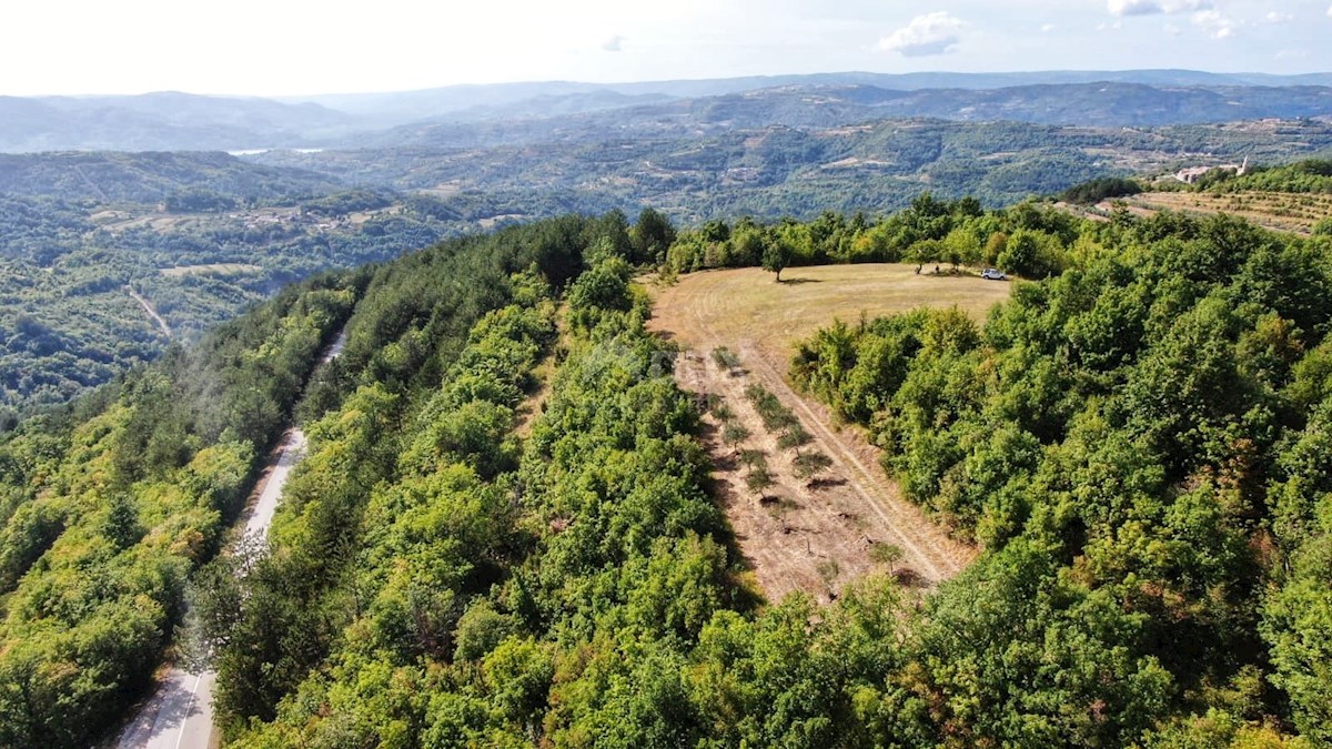 Land For sale - ISTARSKA CEROVLJE