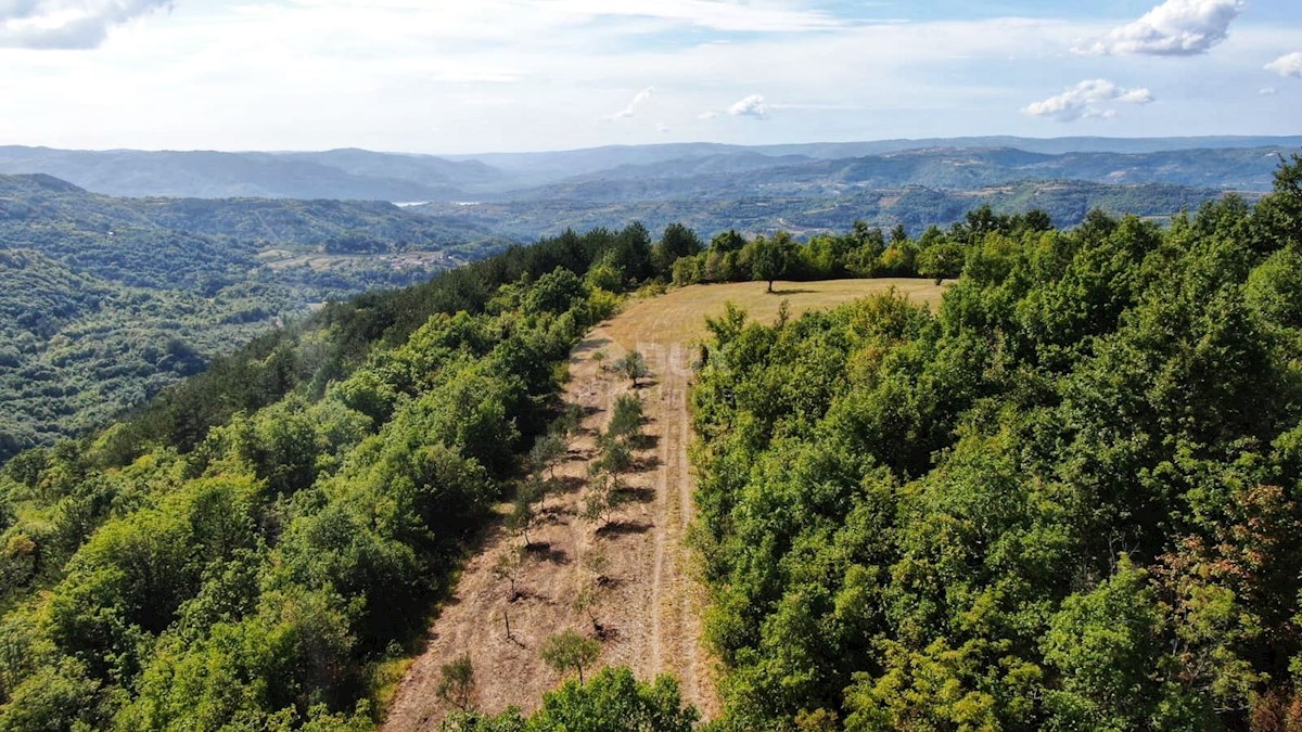 Zemljište Na prodaju - ISTARSKA CEROVLJE