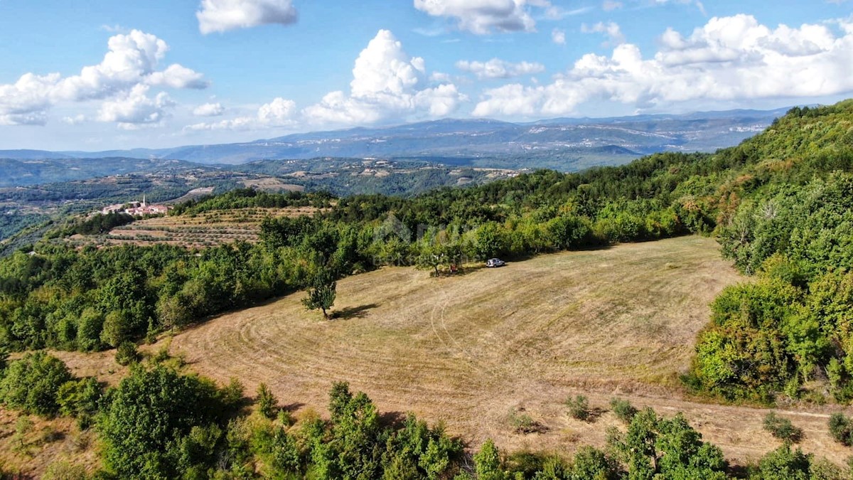 Land For sale - ISTARSKA CEROVLJE