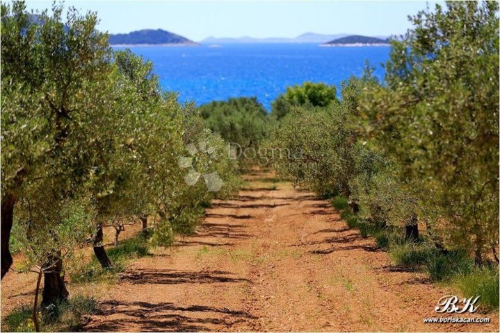 Pozemok na predaj 35000 m² – Sutivan