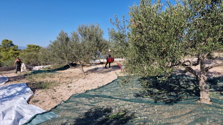 Land For sale - Splitsko-dalmatinska Brač - foto 2/9