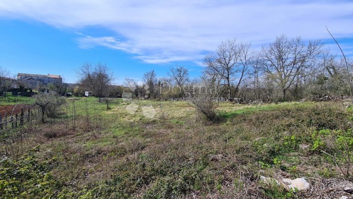 Terreno In vendita - Istarska Grožnjan - foto 3/5