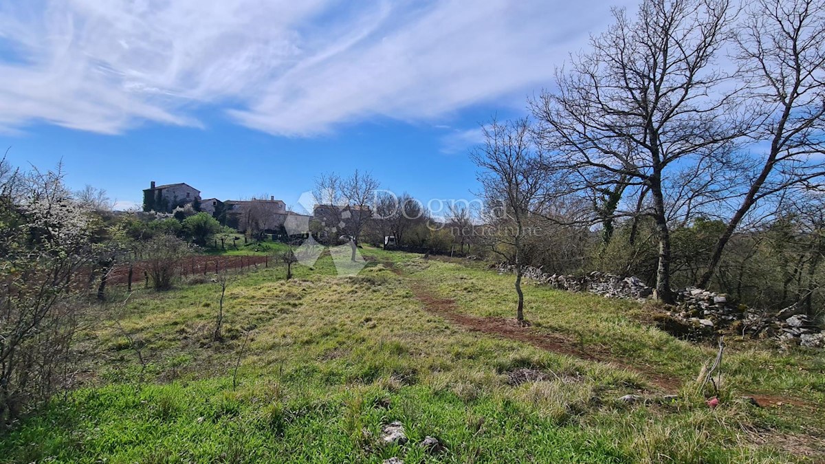 Terreno In vendita - ISTARSKA GROŽNJAN