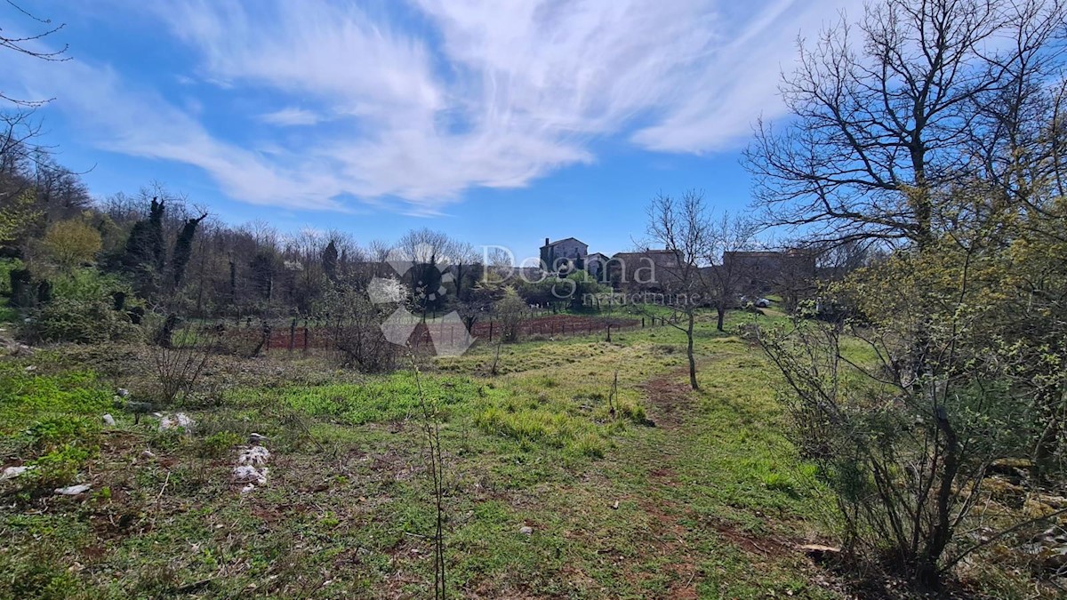 Terreno In vendita - ISTARSKA GROŽNJAN