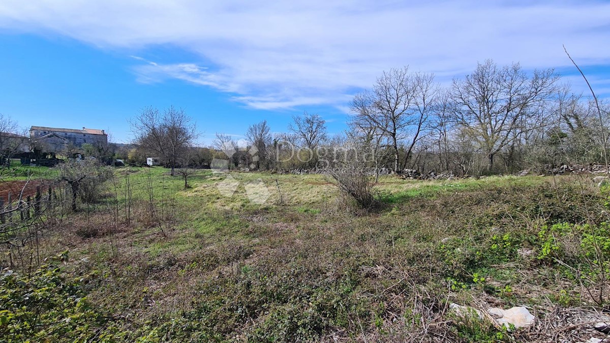 Terreno In vendita - ISTARSKA GROŽNJAN