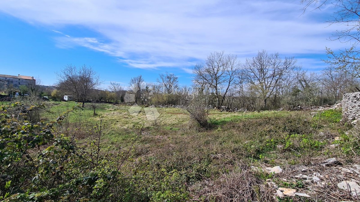 Terreno In vendita - ISTARSKA GROŽNJAN