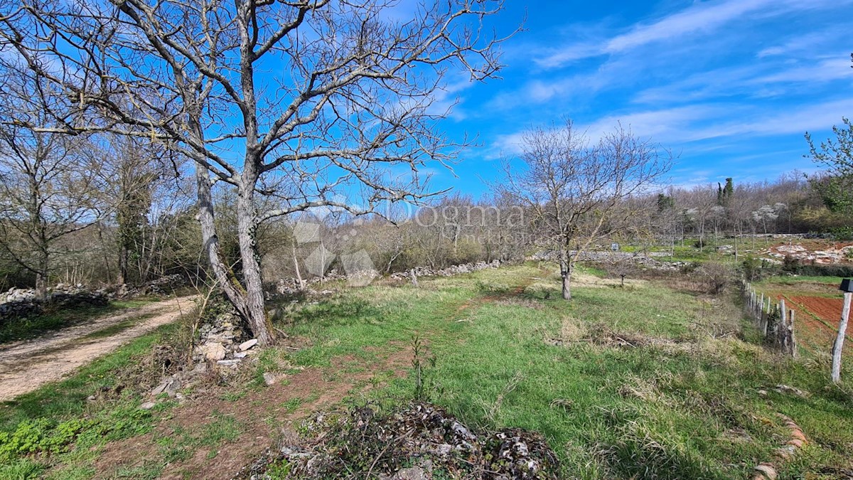 Terreno In vendita - ISTARSKA GROŽNJAN