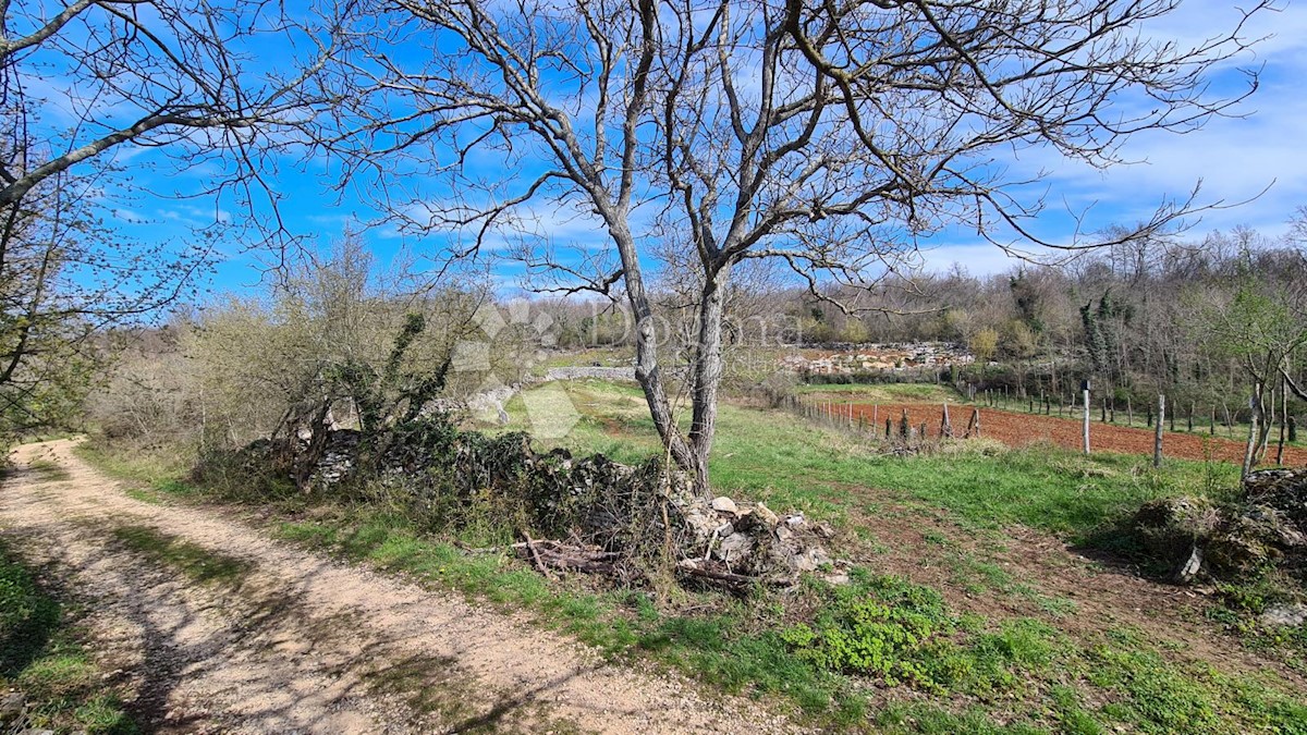 Parcela Naprodaj - ISTARSKA Grožnjan