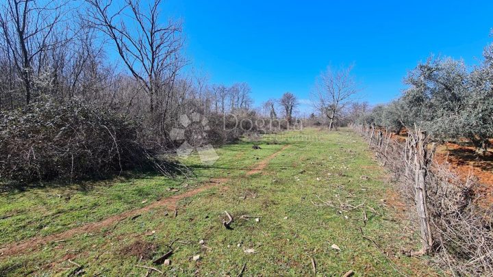 Parcela na predaj 5872 m² – Savudrija