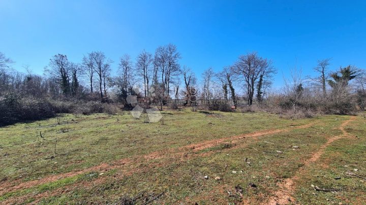 Land For sale - Istarska Umag - foto 2/4