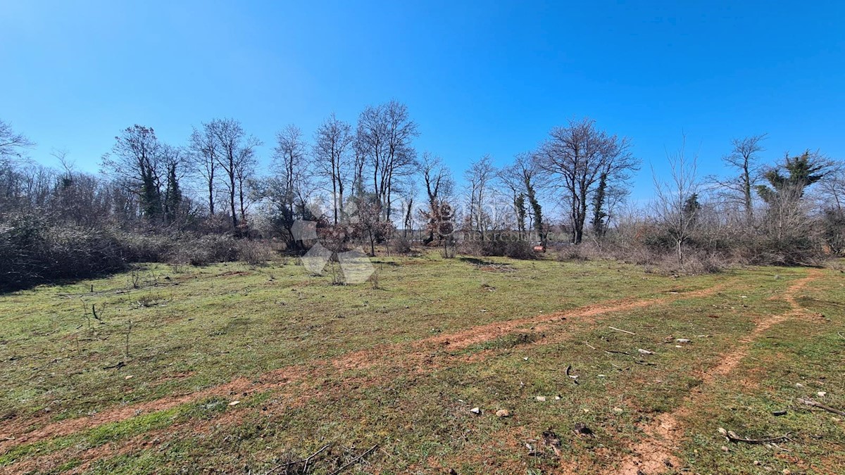 Land For sale - ISTARSKA UMAG