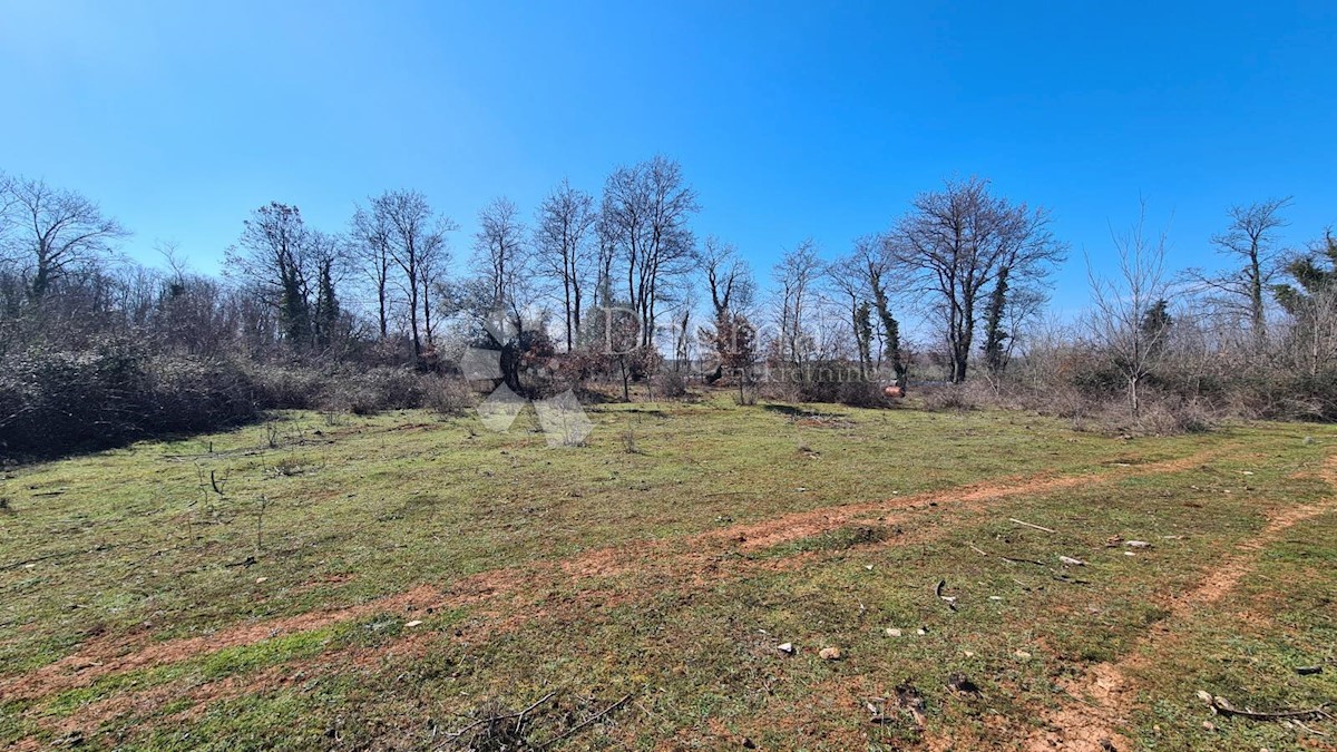 Land For sale - ISTARSKA UMAG