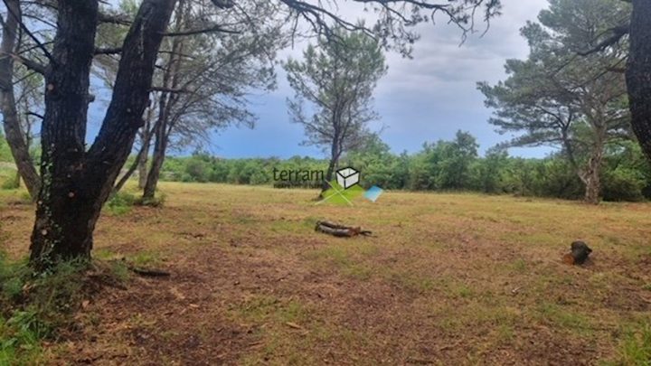 Terreno In vendita - Istarska Vodnjan - foto 3/3