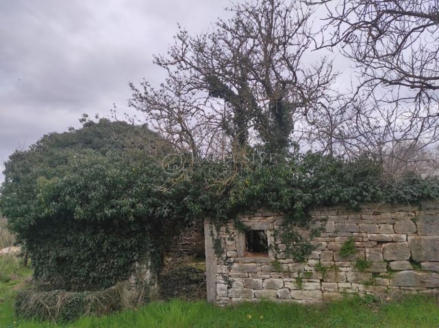 Dům Na prodej - Istarska Pazin - foto 4/5