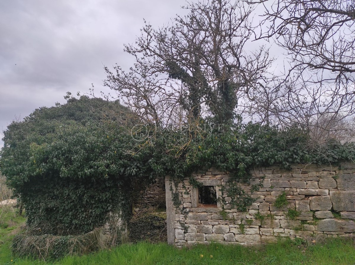 Maison À vendre - ISTARSKA PAZIN