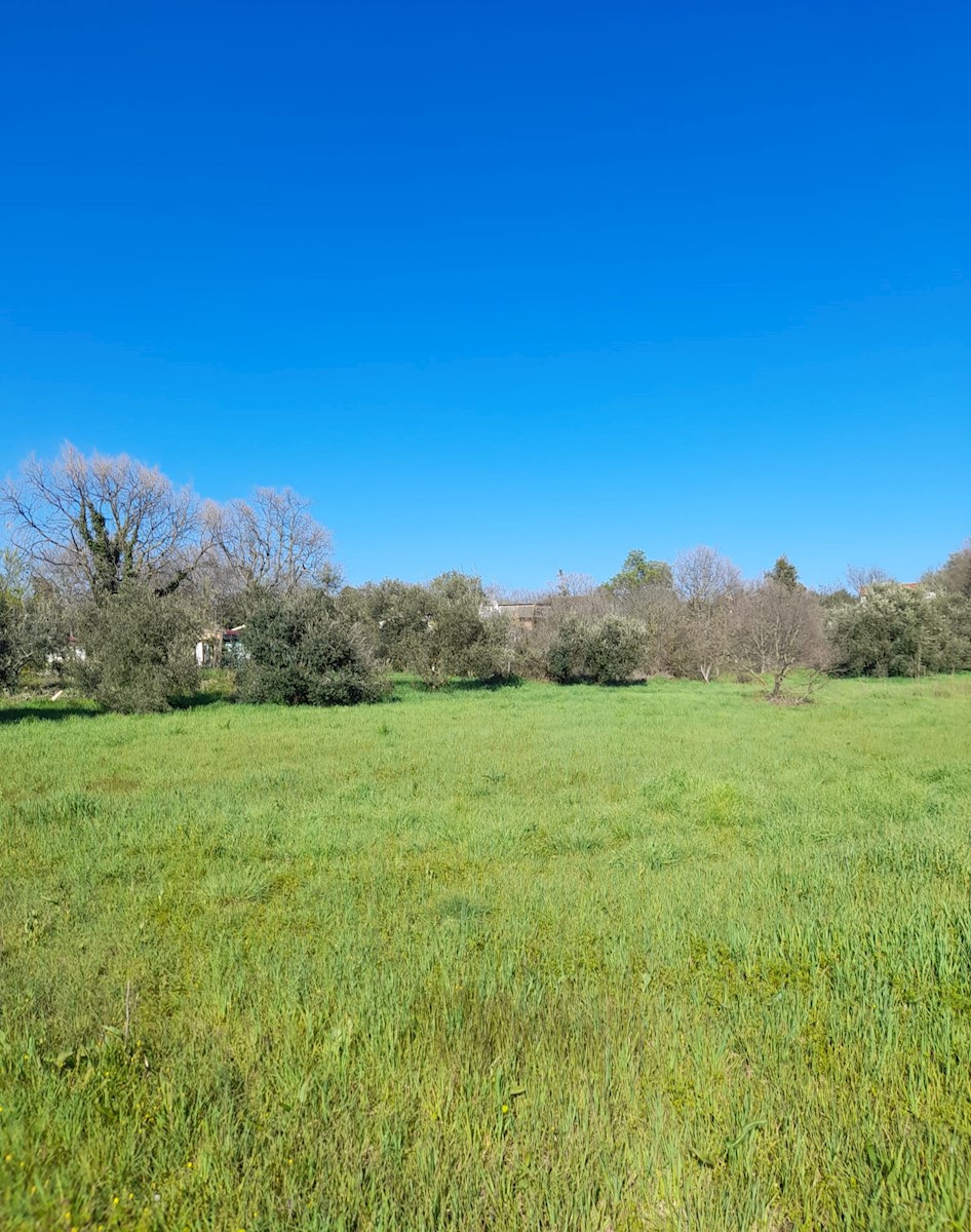 Terreno In vendita - ISTARSKA MEDULIN