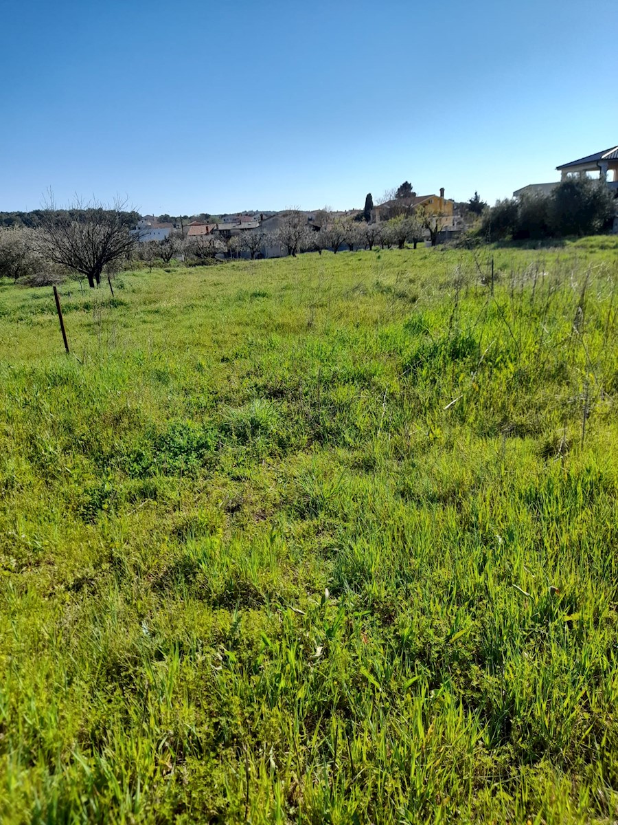 Terreno In vendita - ISTARSKA MEDULIN