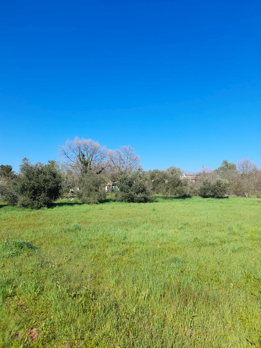 Terreno In vendita - ISTARSKA MEDULIN