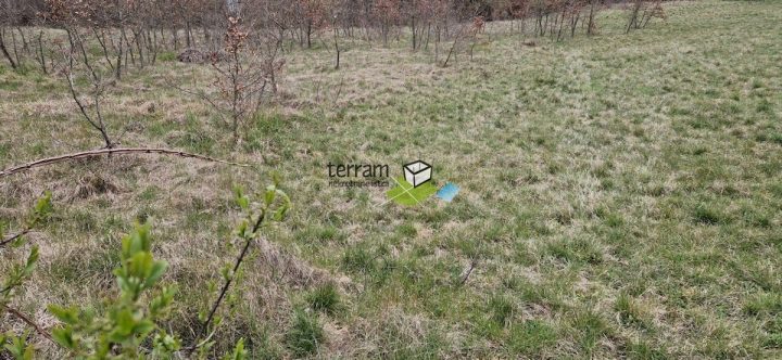 Zemljište Na prodaju - Istarska Barban - foto 3/4